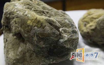 男子捡回一块奇特的石头，引起考古学家的注意