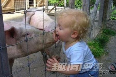 囧baby !人生“第一次”