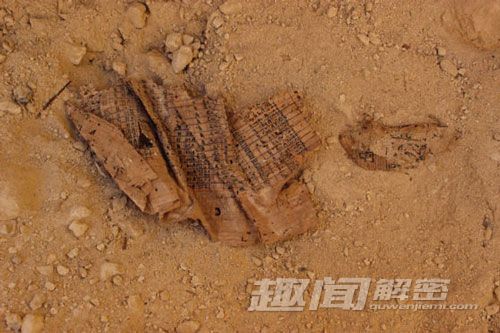 盘点2013年全球十大考古发现