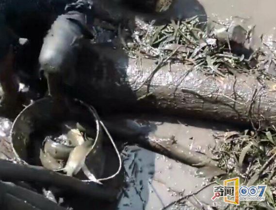 大叔在田里偷偷摸摸,没想到竟是做这种事