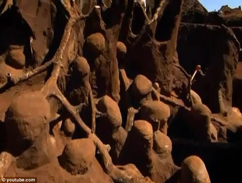 巨大地下蚂蚁王国 规模堪比中国的长城