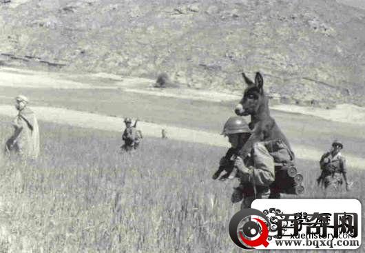 二战中的另类老照片，这些你应该没见过