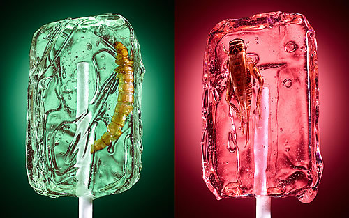 虫子棒棒糖 有胆你就试试