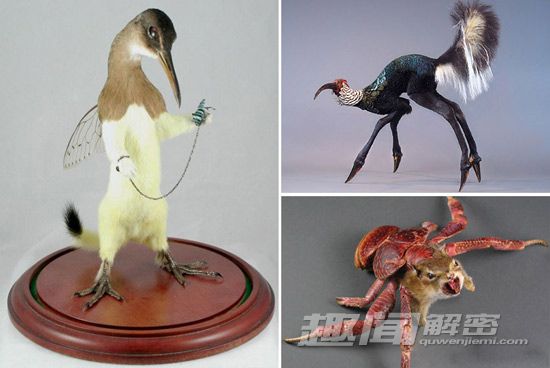 重口味！全球最难以接受的艺术形式