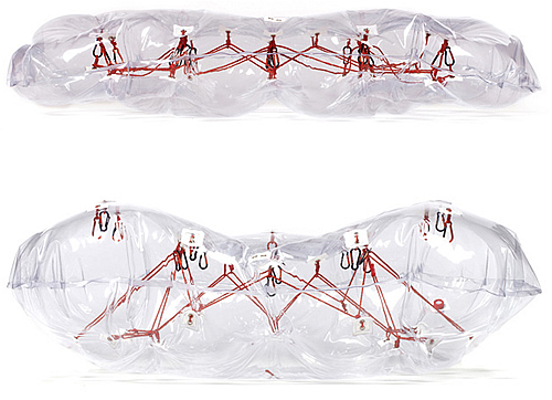 在自家养蜂 Beehive城市蜂巢 人们不错的休闲场所