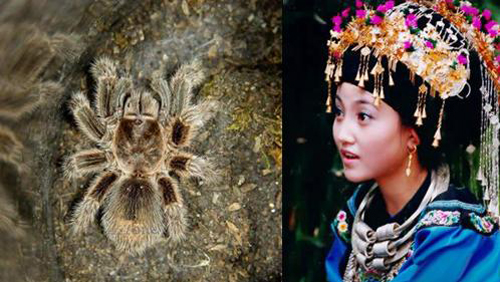 奇风异俗:苗女对负心郎下的阴邪蛊