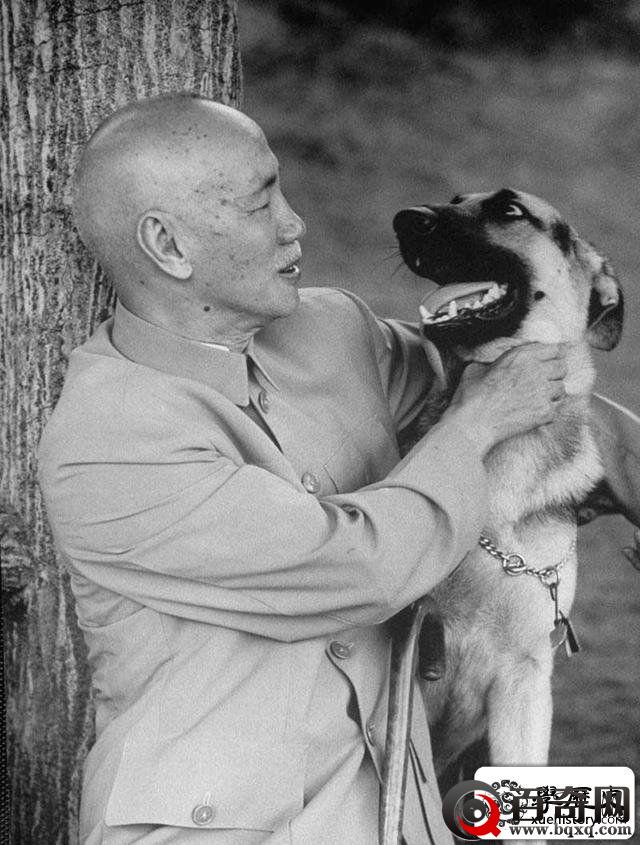 老蒋“哭笑不得、掐死狗”两张照片背后，爆出蒋经国一段风流艳史