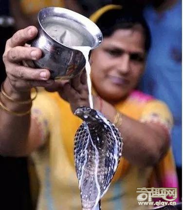 全球最可怕的仪式：刺穿活人的太阳舞节！