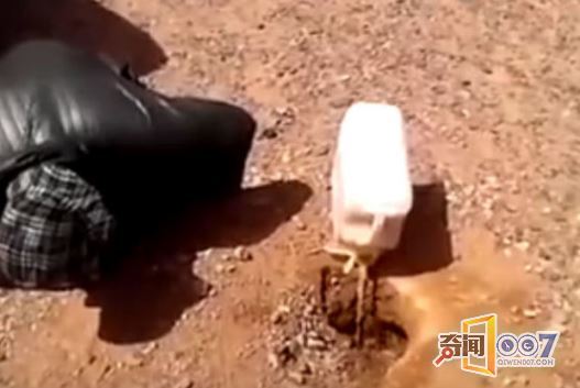 男子沙漠逃生水倒掉，随手一抓竟捕获奇物