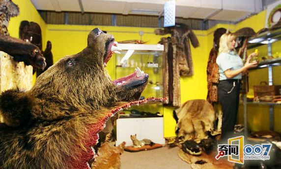 检查人员带汪星人查这个，引围观，成为一道风景