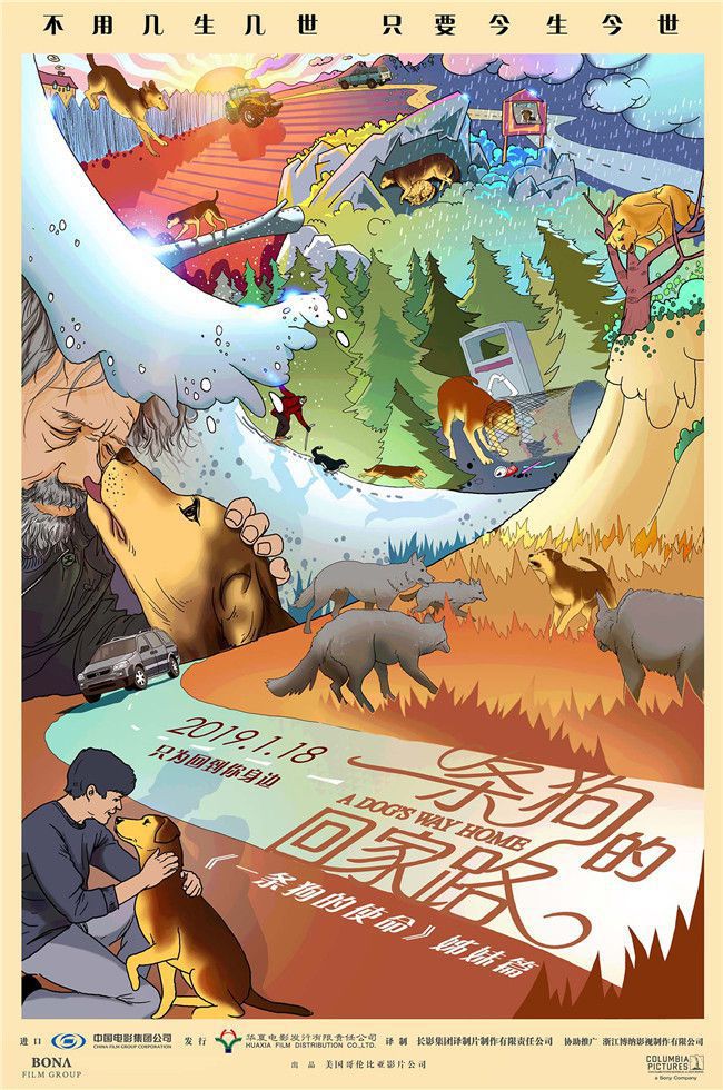 《一条狗的回家路》公映顶级配乐助阵贝拉流浪之旅