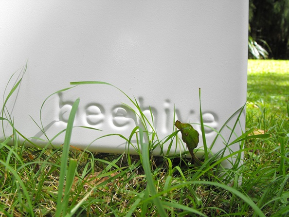 在自家养蜂 Beehive城市蜂巢 人们不错的休闲场所