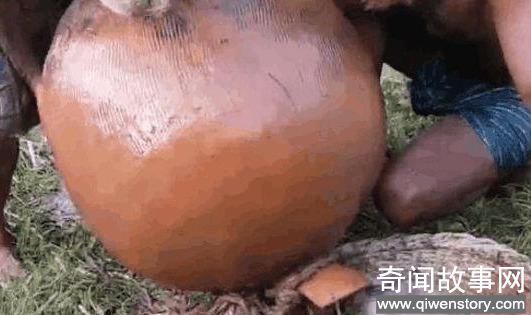 老汉河底捞出一个古老的坛子砸开里面全是银条(图文)