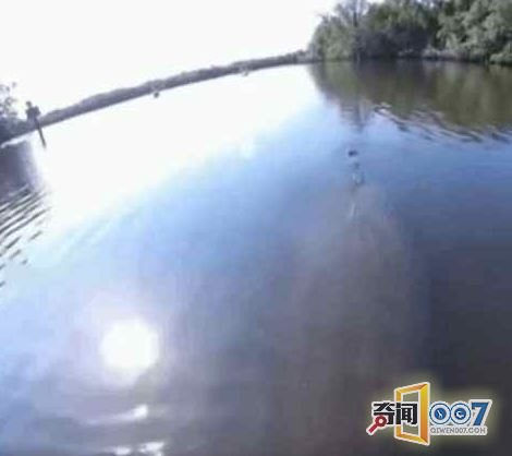 男子划船偶遇猪鼻子生物,细看后屏住呼吸