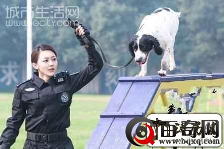 电视剧警花与警犬中黄梦莹参演 为于和伟做红娘
