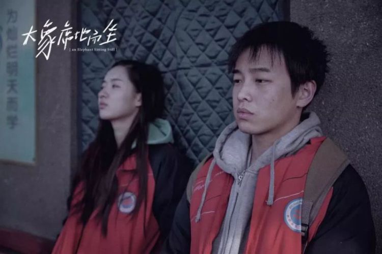 关于金马奖最佳影片《大象席地而坐》，这些细节值得知晓！