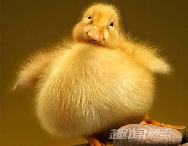 水浒中10大无能之人：谁才是最没用的