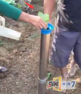 男子发明自动种菜机，效率成倍提升令人羡慕