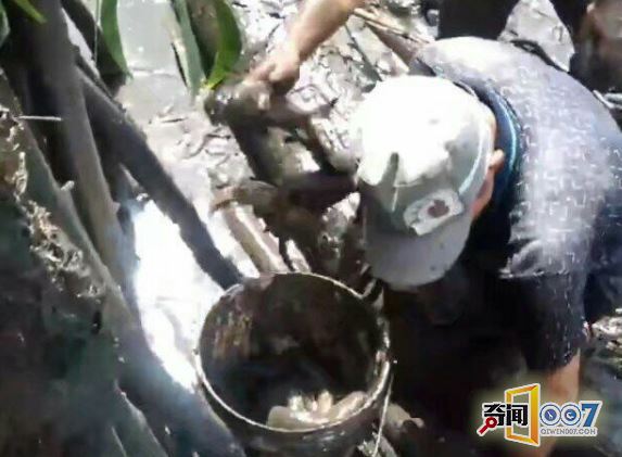 大叔在田里偷偷摸摸,没想到竟是做这种事