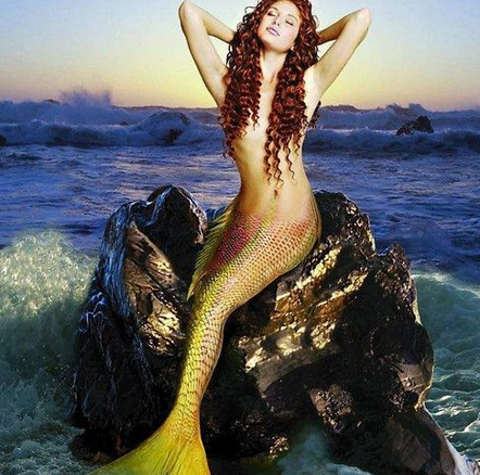 南海渔民捕获美人鱼