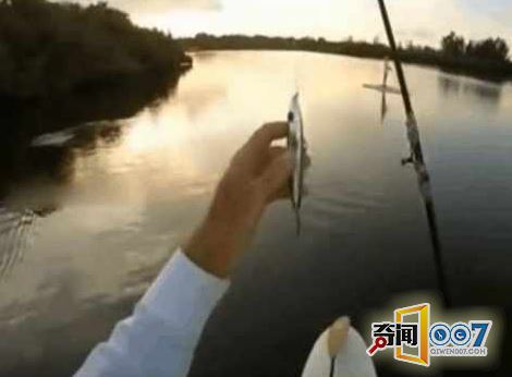 男子划船偶遇猪鼻子生物,细看后屏住呼吸