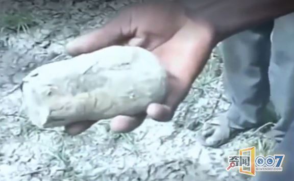 干裂土地挖出“木头”，男子瞬间被惊呆了