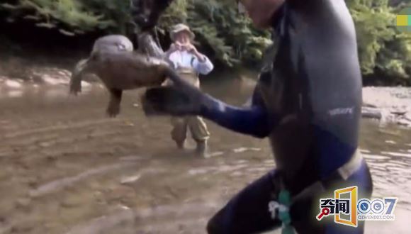 河边发现奇怪尾巴，竟拉出凶猛生物