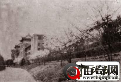 弱国无外交，当年此大学原本要种梅花，日军少将却使樱花占据校园