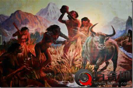 北京猿人的体质特征 北京猿人化石是怎么被发现的