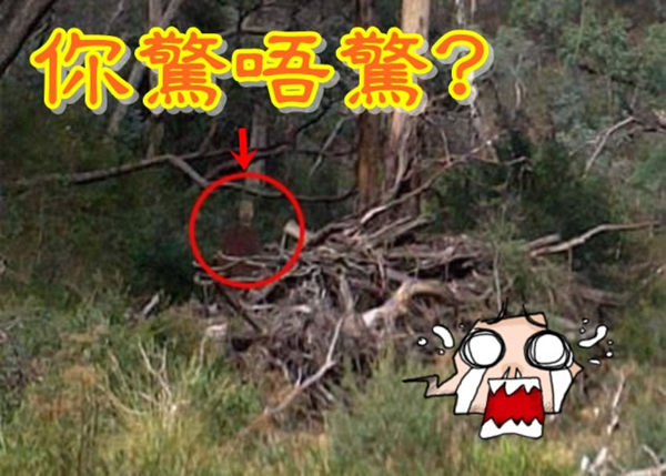 男子自杀胜地拍照 “红衣男鬼”意外抢镜