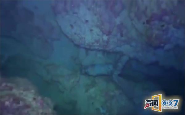 男子潜水发现礁石异样，细看吓得掉头就跑