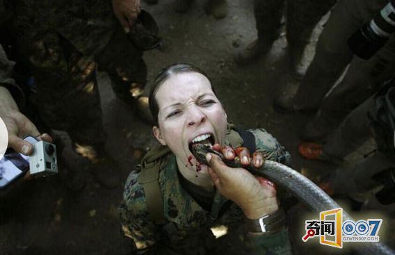 揭秘美国女兵的军营生活：喝蛇血
