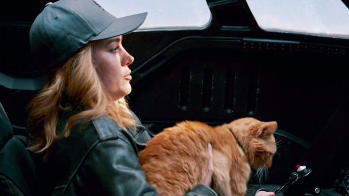 《惊奇队长》里的橘猫来头可不小，它能一口吃掉整个宇宙！