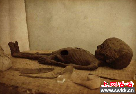 2015ufo事件 神秘阁楼发现外星人遗骸照片