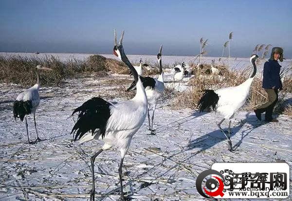 精选老照片：直击八十年代中国民生