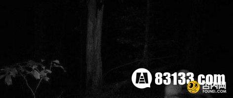 深入解密怪异生物 这些怪物有多恐怖