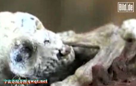 惊骇图集解秘在麦田怪圈捕获外星人幼崽的事件之谜