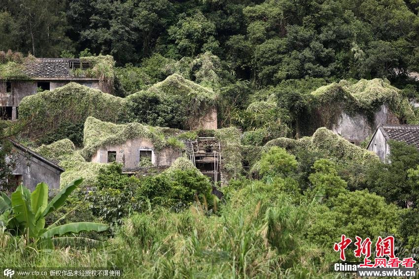 浙江一荒废几十年古村变身童话世界 图_0