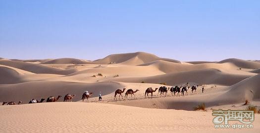 撒哈拉沙漠之谜