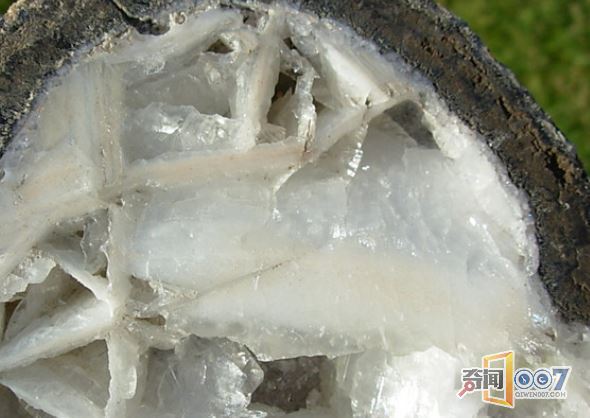 女孩捡回罕见奇石，切开后傻眼了