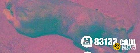 深入解密怪异生物 这些怪物有多恐怖