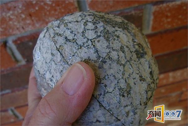 女孩捡回罕见奇石，切开后傻眼了