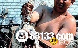 深入解密怪异生物 这些怪物有多恐怖