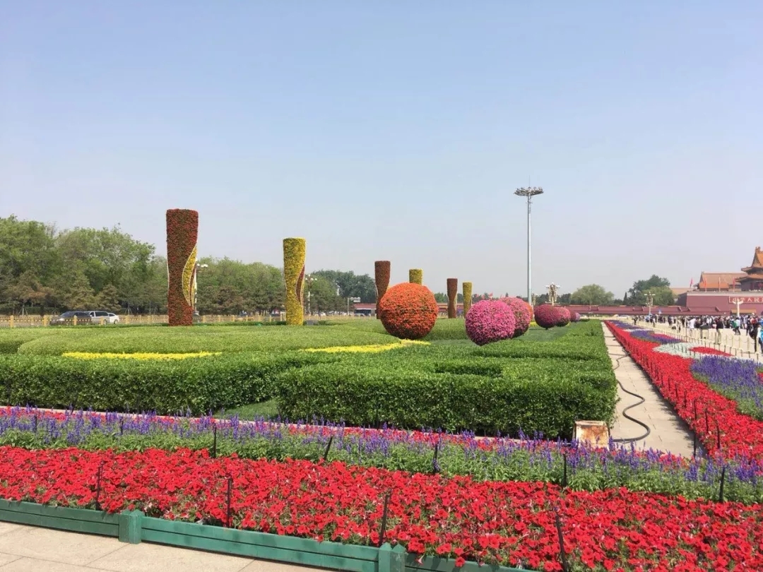 天安门广场五一摆花完成：总计15万盆鲜花上岗