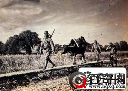 日本第一窝囊废师团的“水牛战役”