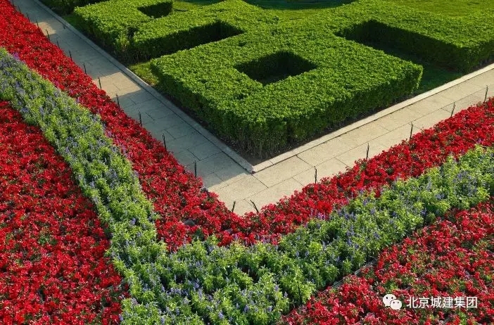 天安门广场五一摆花完成：总计15万盆鲜花上岗