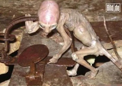 惊骇图集解秘在麦田怪圈捕获外星人幼崽的事件之谜