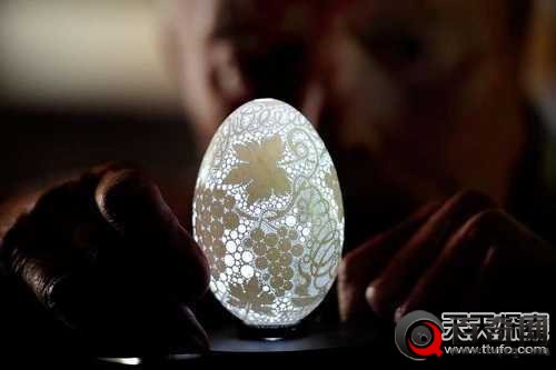 你一辈子都没有见到过的40张图