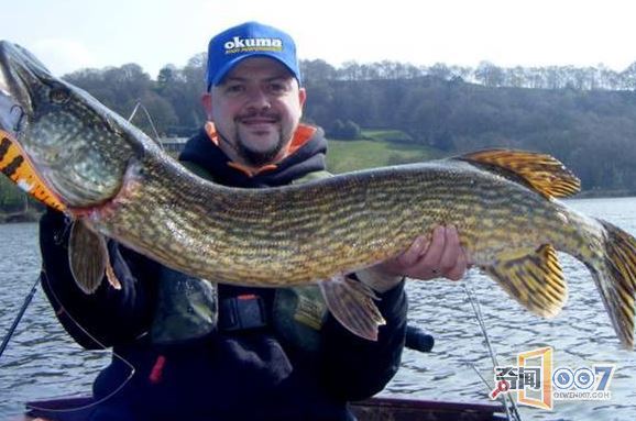 男子捕获大鱼 竟在鱼腹中发现一只老鼠