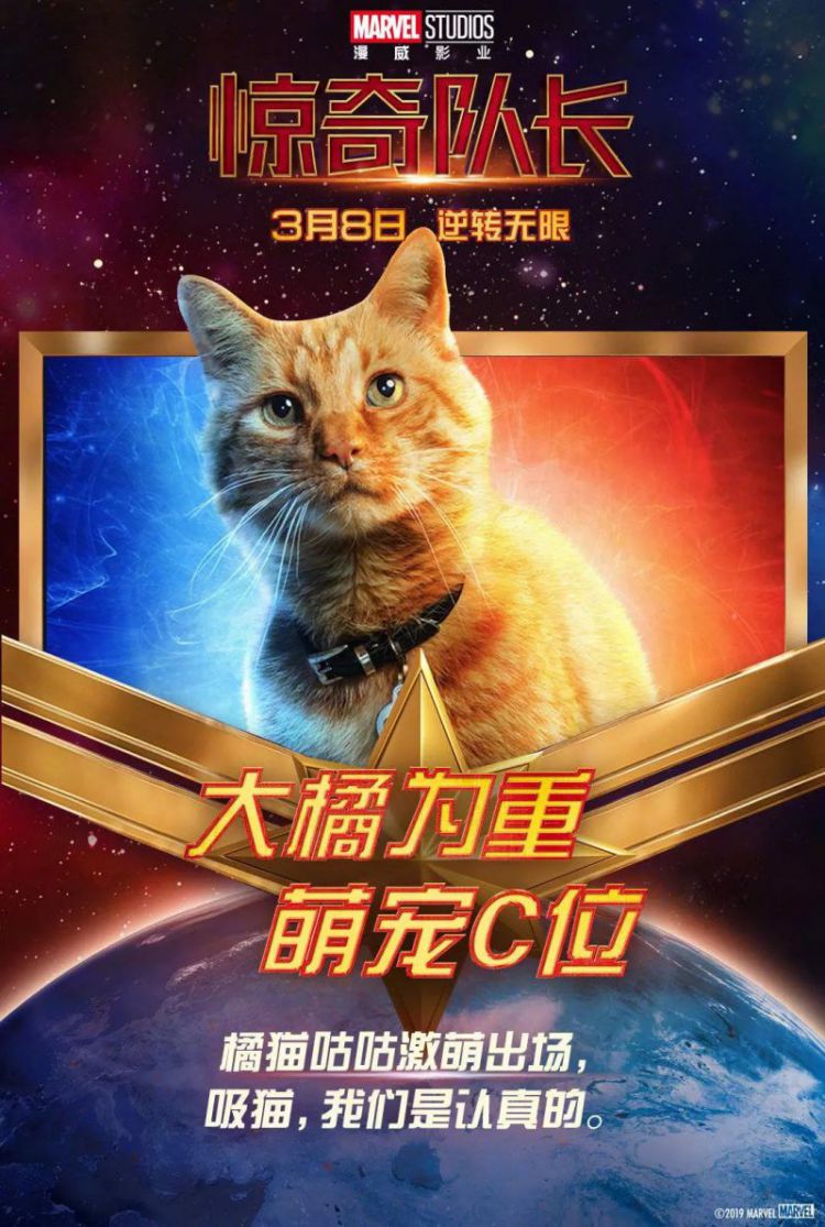 《惊奇队长》里的橘猫来头可不小，它能一口吃掉整个宇宙！
